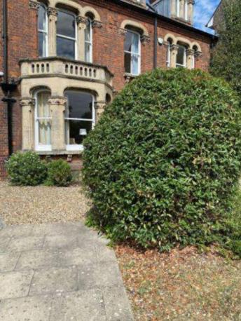 Stay With The Reach Cambridge Bagian luar foto